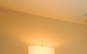 Neutral toned guest bedroom with overhead light and fan at Summit Pointe in Oklahoma City, Oklahoma